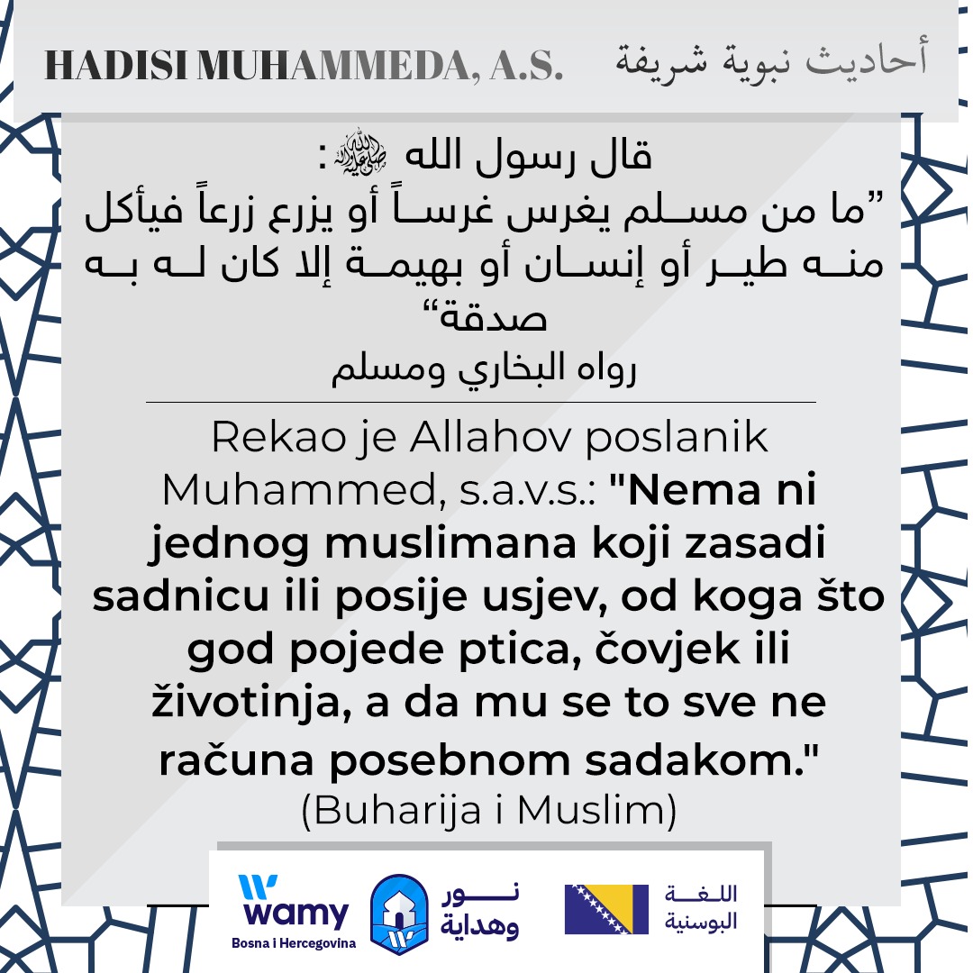 HADISI MUHAMMEDA, A.S. (11)