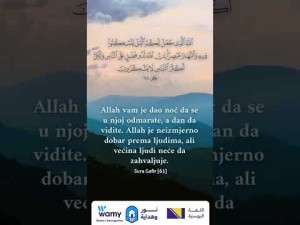 Sura Gafir [61]